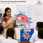 Amoeba Model
